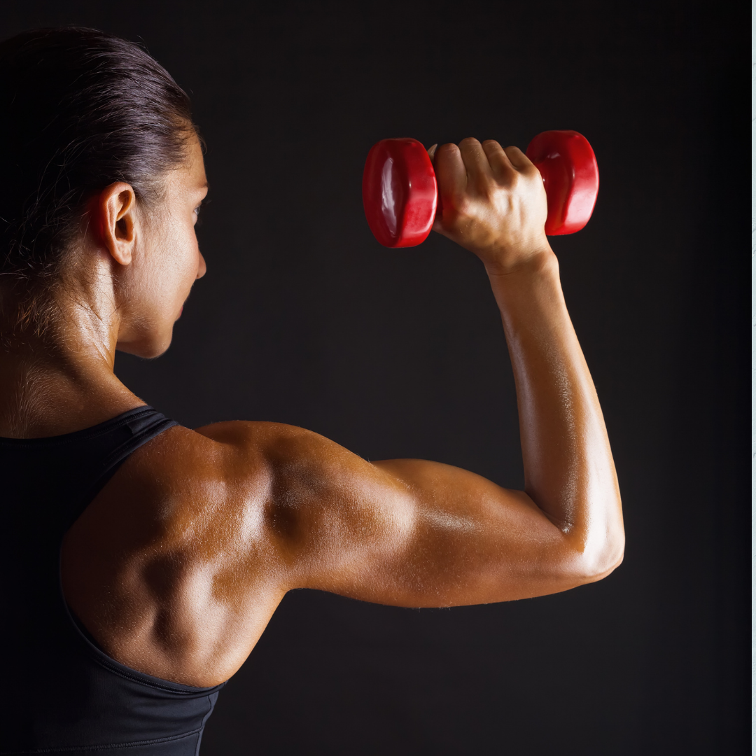 Avoid The Holiday Bulge