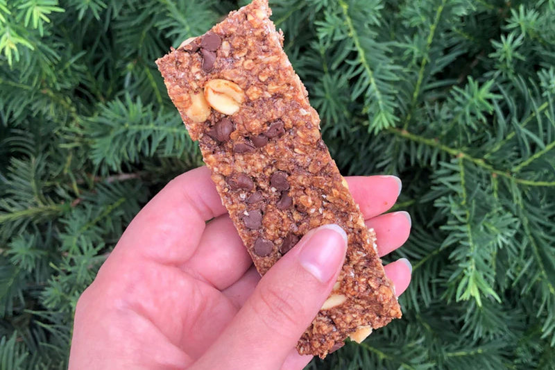 Spiced Cocoa Granola Bars