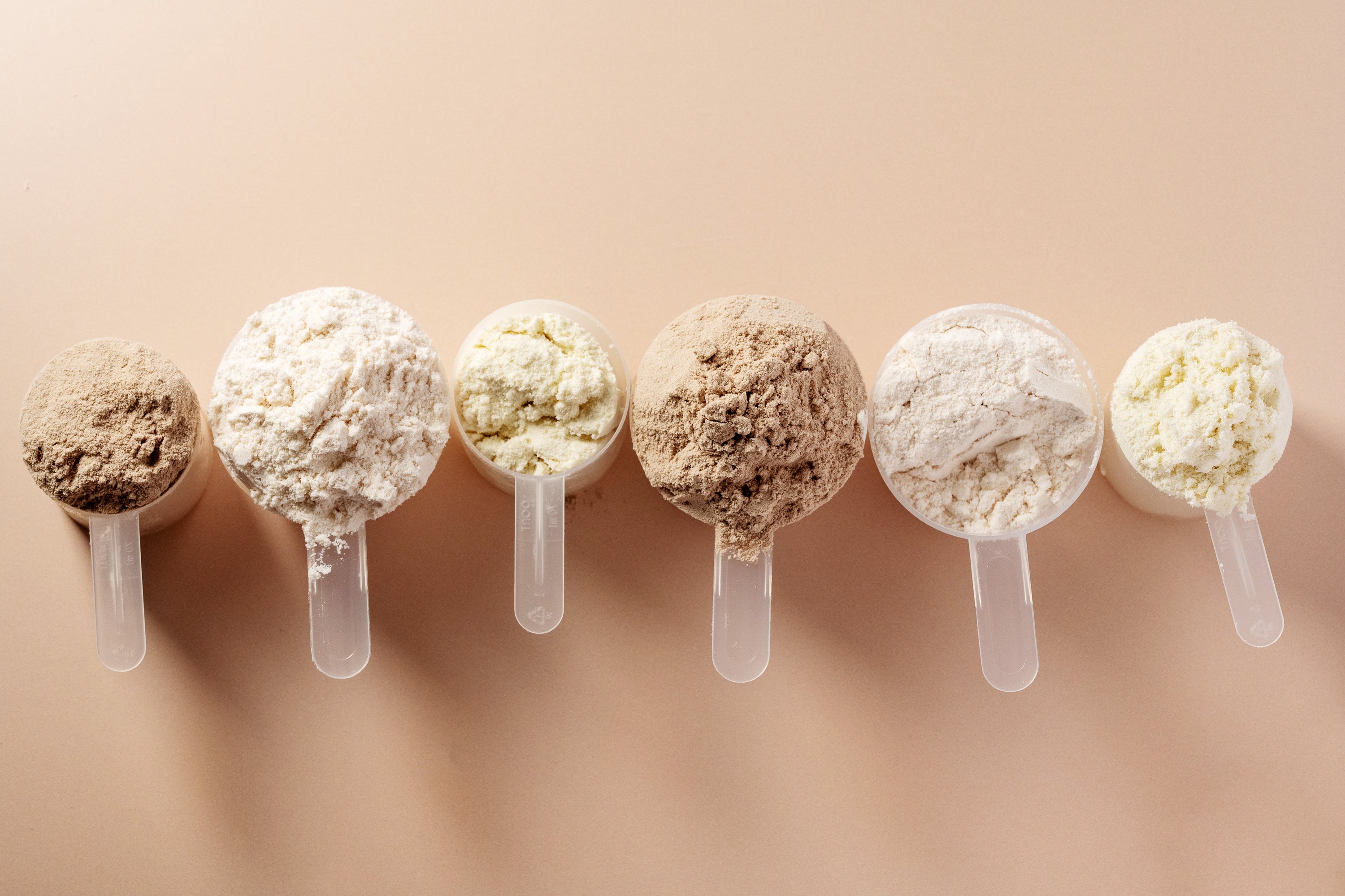 Whey or Plant Protein: Which Works Better for You?
