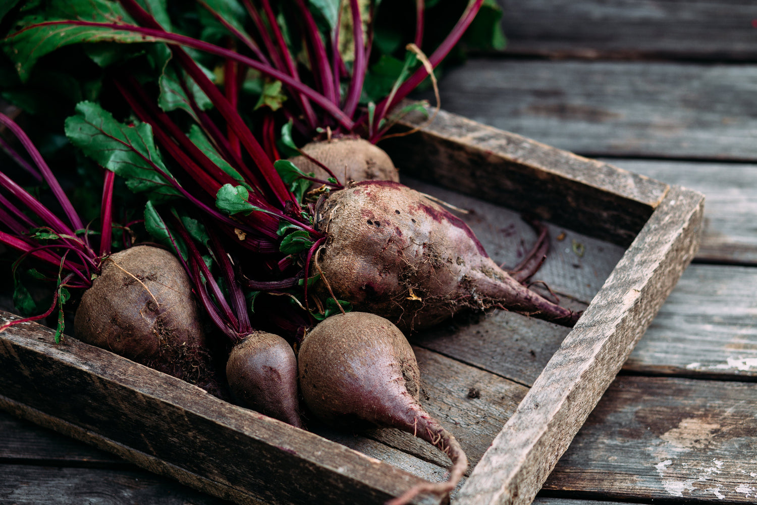 Turn the Beet Up: The Health Benefits of Beets
