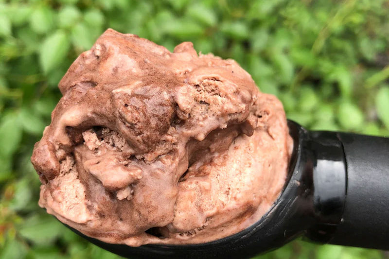 I scream, you scream...for Protein Ice Cream!