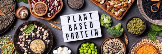 A sign that says plant-based protein next to protein sources.