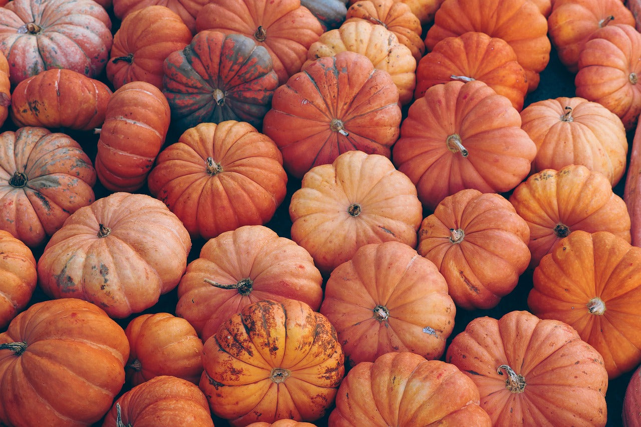 Proven Benefits of Pumpkin: A Seasonal Superfood Guide for 2025