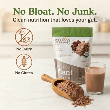 Organic Chocolate Ancient Grains Plant Protein