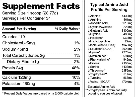 Chocolate Lo-Carb Whey Protein Isolate - swiig